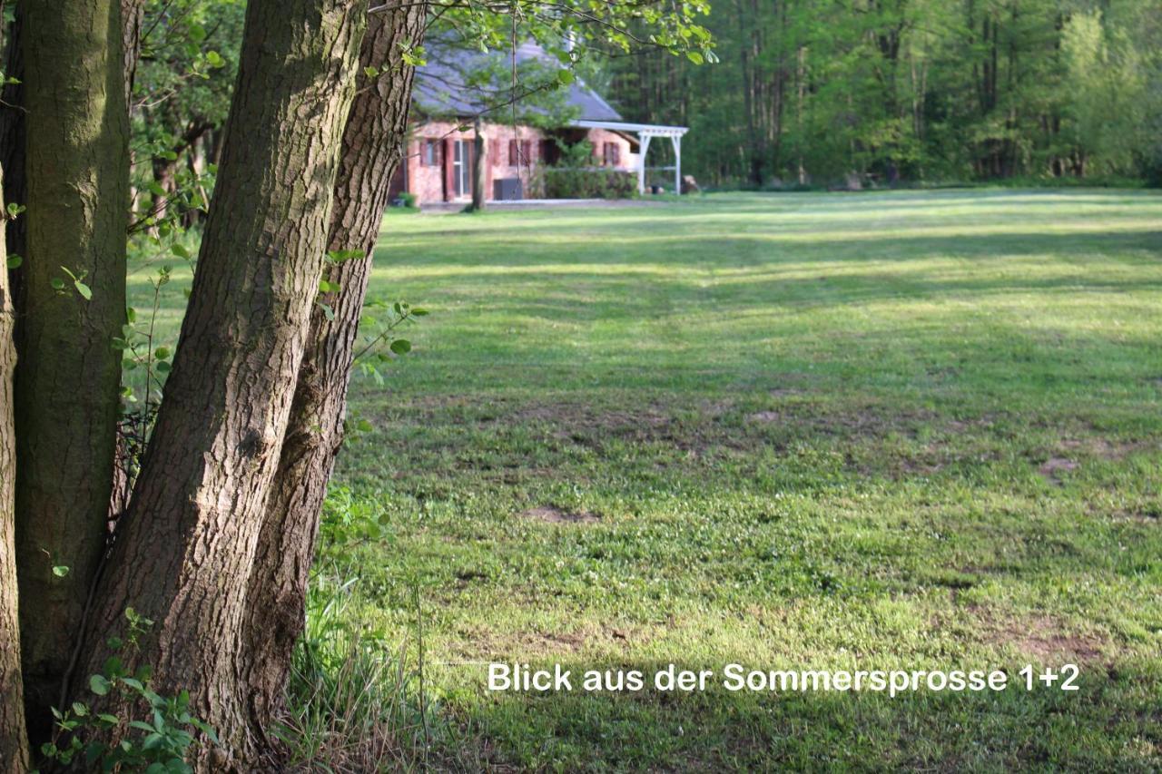 Sommersprosse Burg  Bagian luar foto